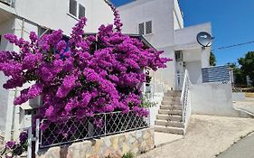 Maslenica-Bougainvillea